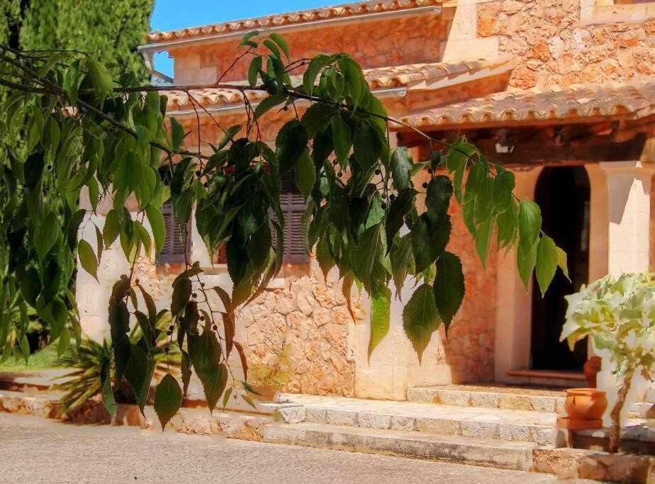 Ciclismo y golf junto a la playa Finca Son Sant Martí Gran Villa Muro Exterior foto